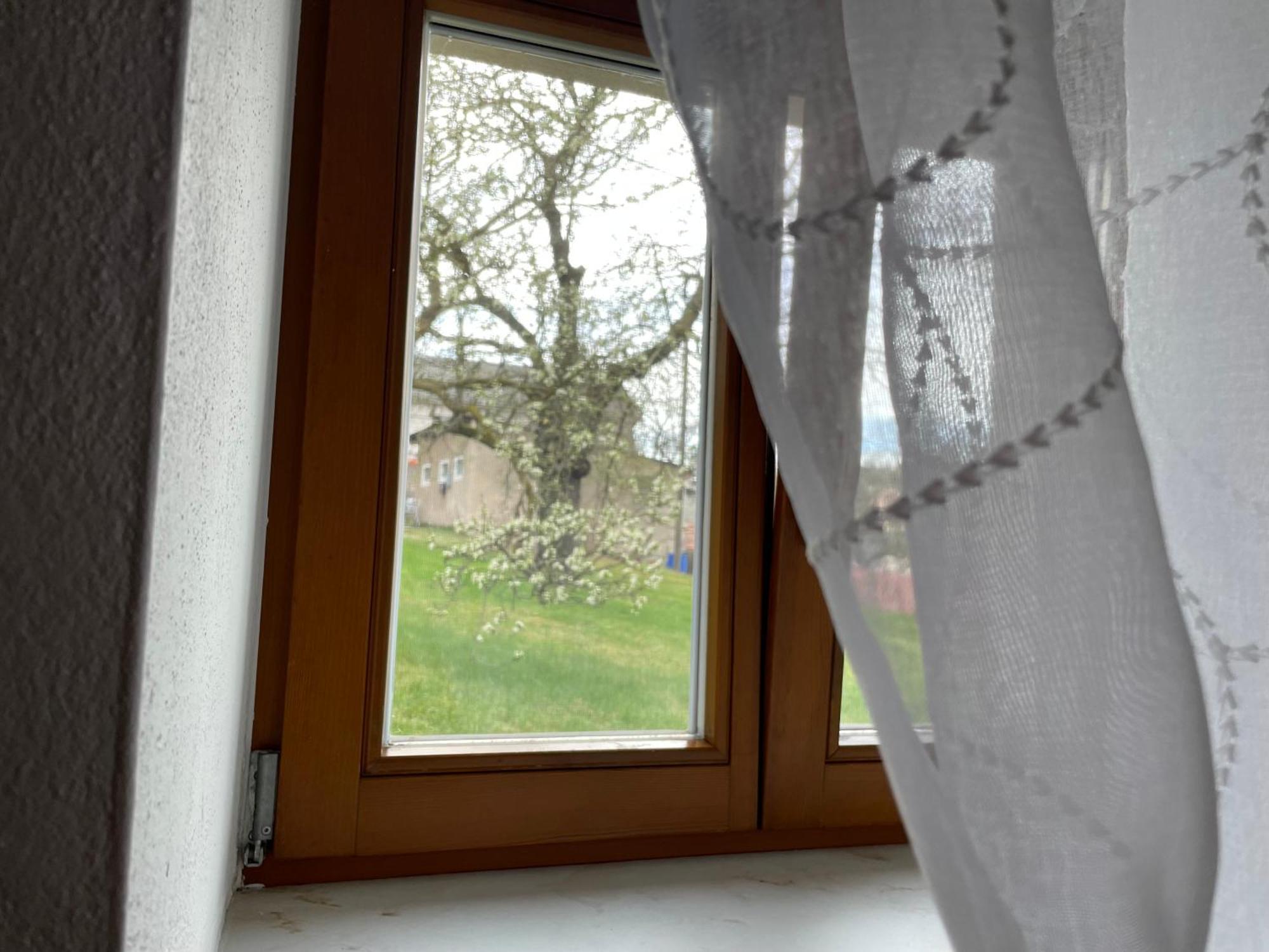 דיפולדיזוואלדה Energietanken Vor Den Toren Dresdens -Barrierefrei- מראה חיצוני תמונה